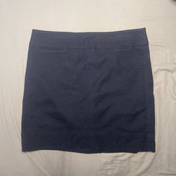 Talbots Navy Pencil Skirt