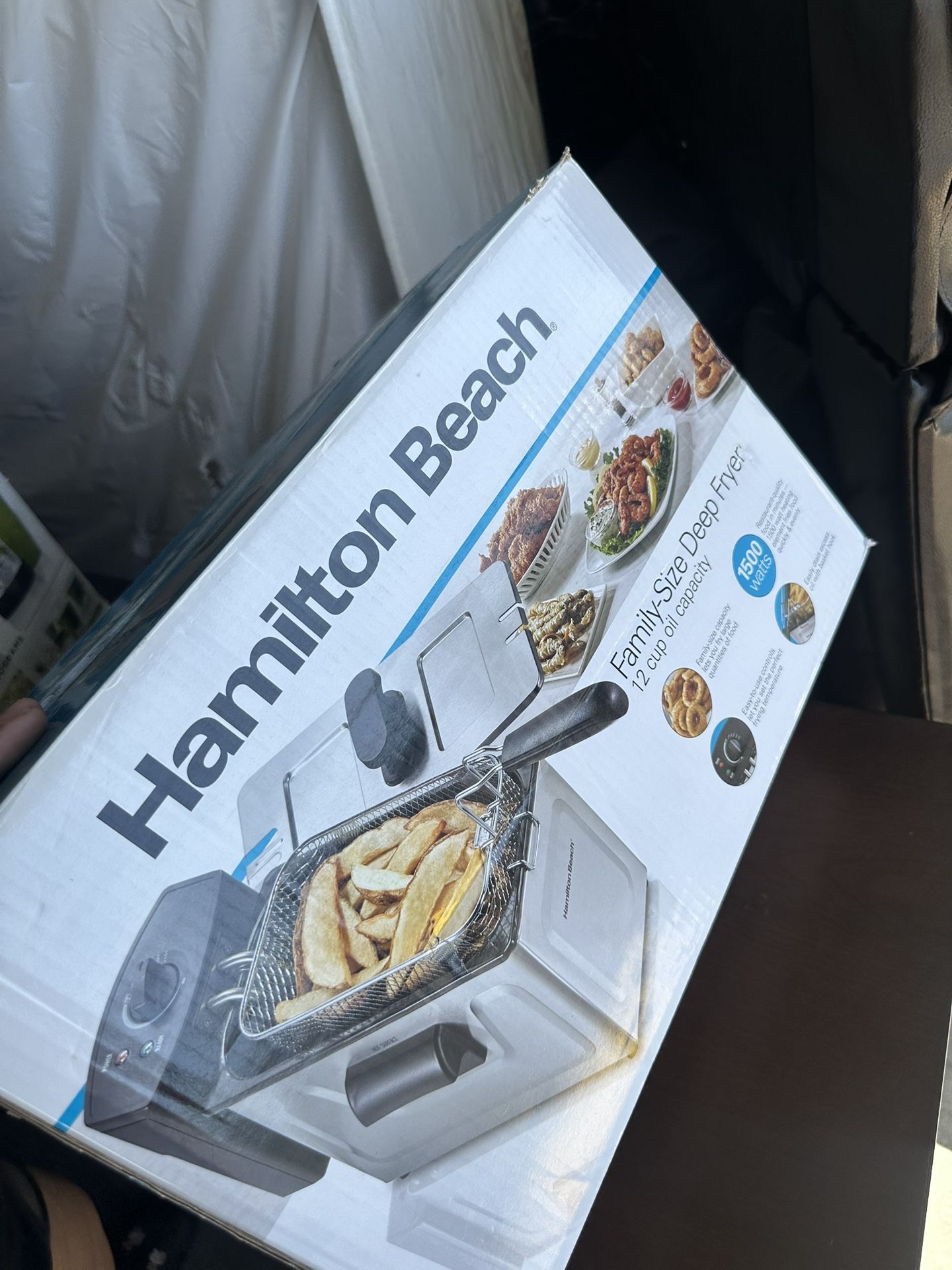 Electric Fryer 