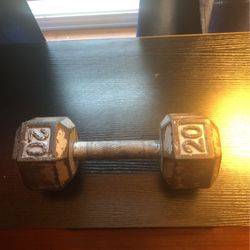 Single 20 Pound Dumbbell (LOCAL PICK UP ONLY)