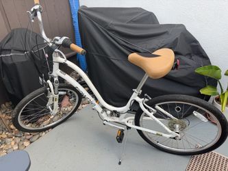 Electra Townie Bicycle