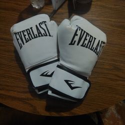 Everlast Leather Core Training Gloves for Boxing,