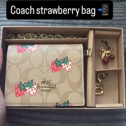 Coach Mini  Bag 