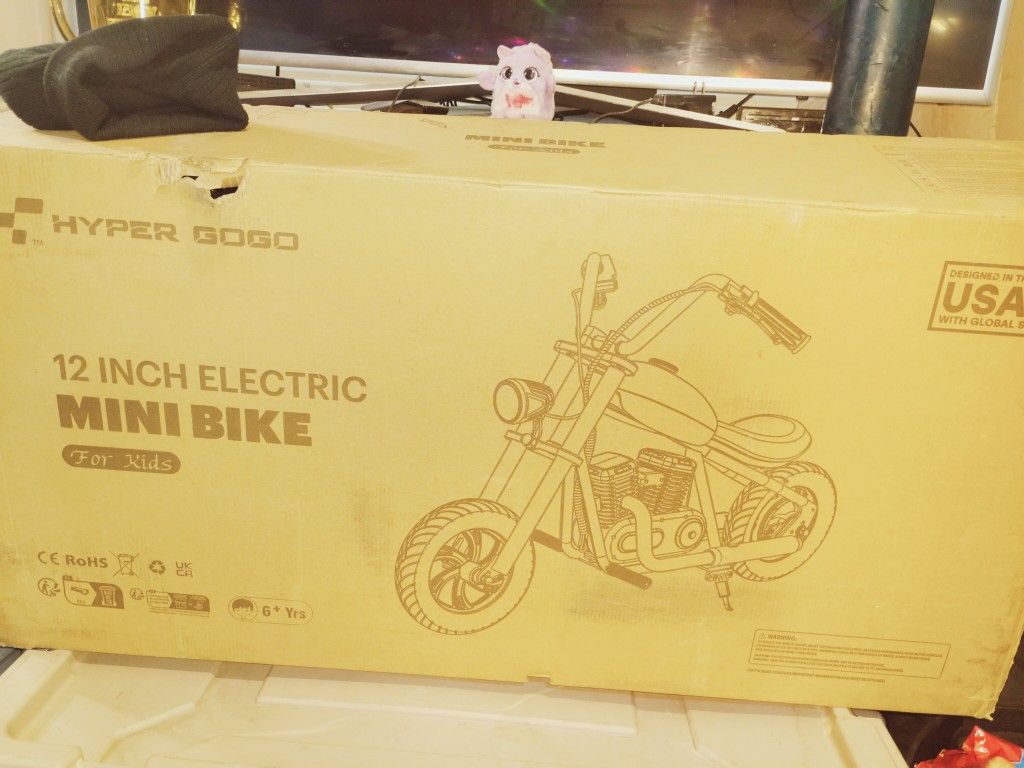 Kids Electric Bike