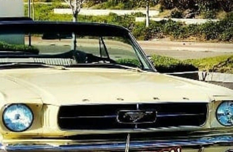 64 To 66 MUSTANG   Vintage  Hub Caps  