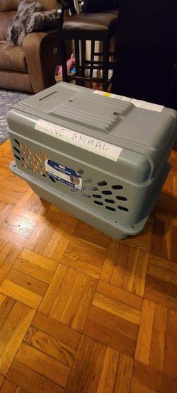 Airplane Pet Carrier 