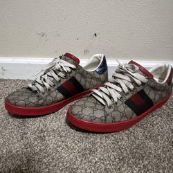 Gucci Shoes 