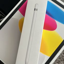 iPad + Apple pen