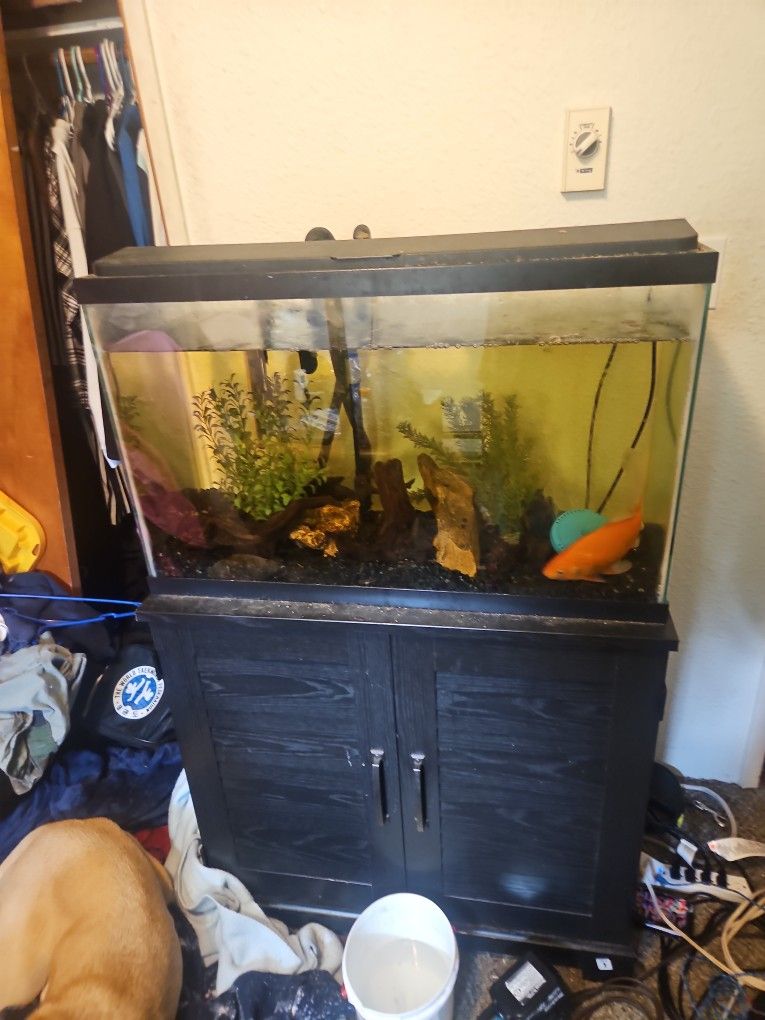30 Gal Fish Tank
