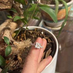Zales Diamond ring, Brand New Bought In The mall Of America In NY 