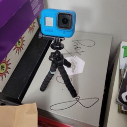 Go Pro