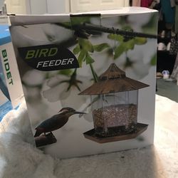 Bird Feeder In Box