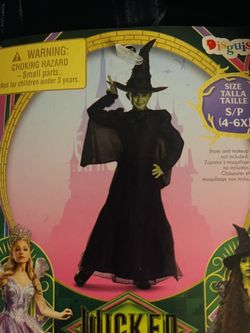 Halloween Wicked Witch Costume