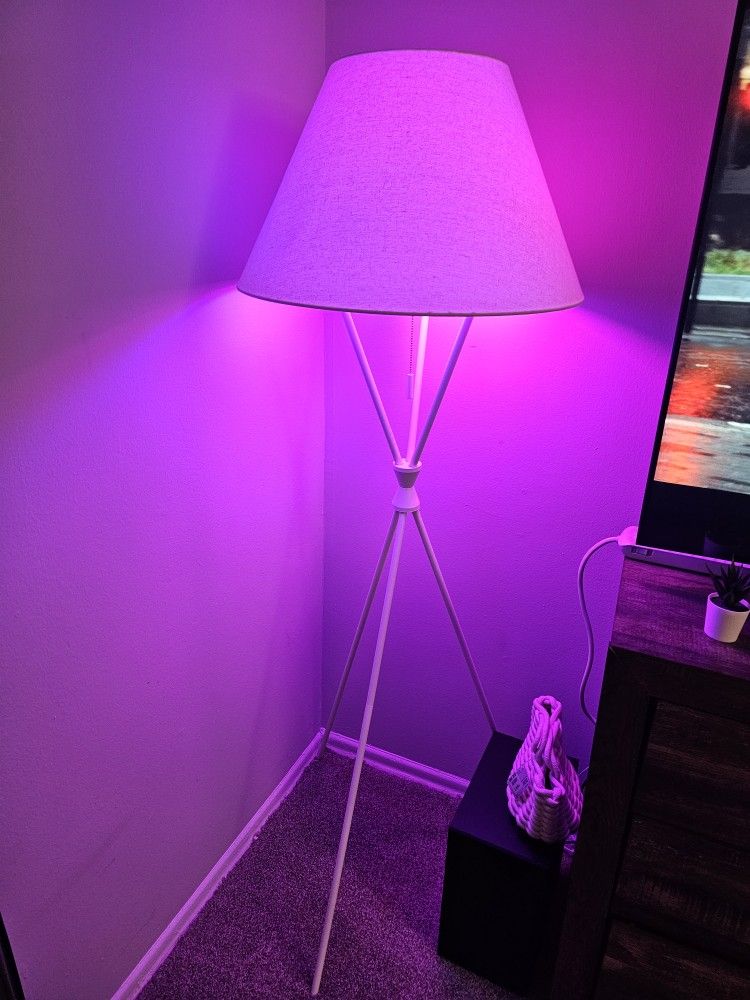 Floor Lamp