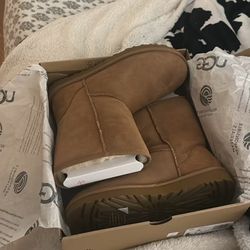 New In Box Size 8 Women’s Uggs. 