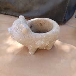 $12 Small Cement Pig Planter. It Has Drainage. Size in Pictures