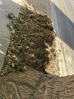 Free Dirt