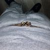 Zach R 
