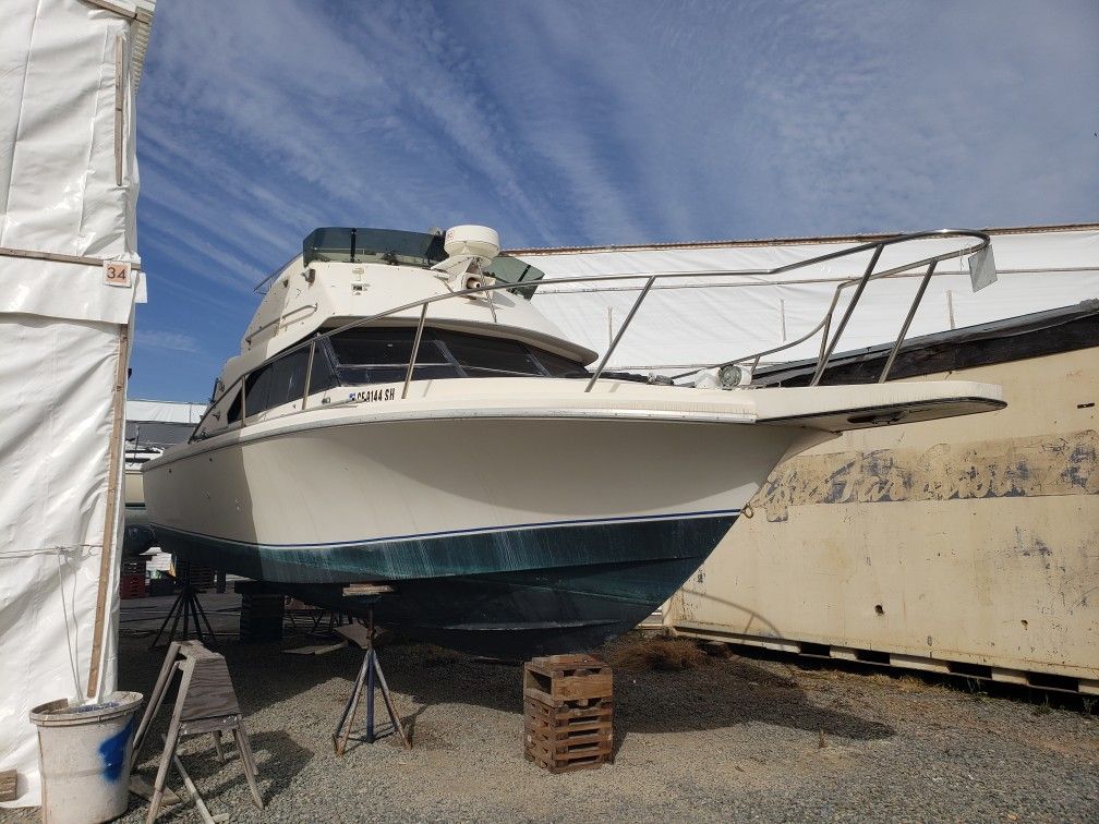 Sea bird Flybridge Sport Cruiser