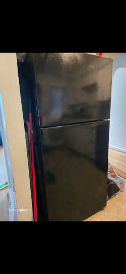 Amanda 21 cubic foot fridge