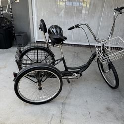 Adult tricycle