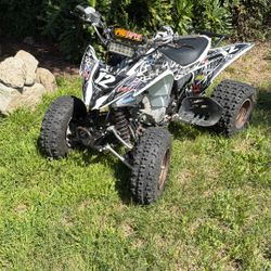 2010 Yamaha YFM250R