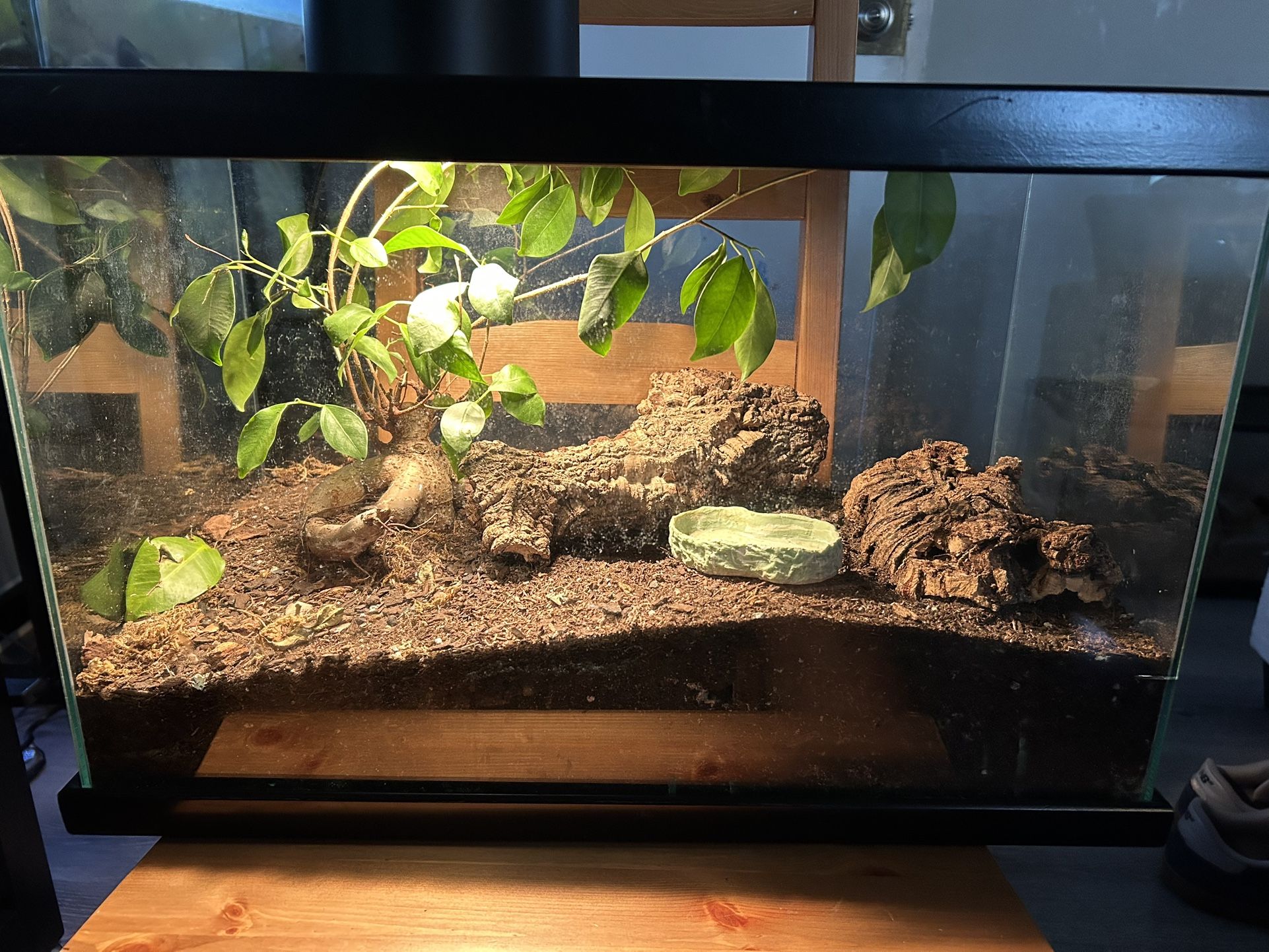 10 Gallon Fish Tank