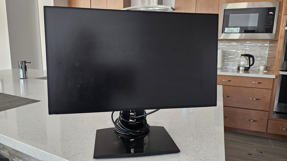 Computer  Monitor 