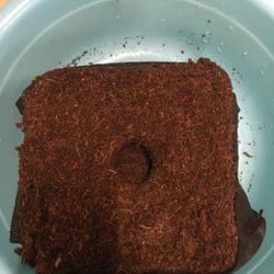 Coco Coir Fiber Soil Discs for House Plants, Succulents, Herbs, and Flowers.（48x32x30cm，30 Pack）
