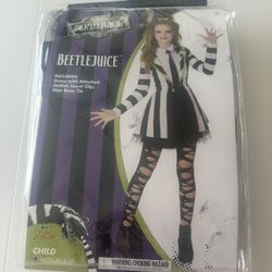 Girls Size 8-10 Halloween Costume. Only Worn Once! 