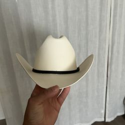 Brand New Cowboy Hat