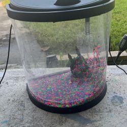 Fish Tank 3.5 Gallons