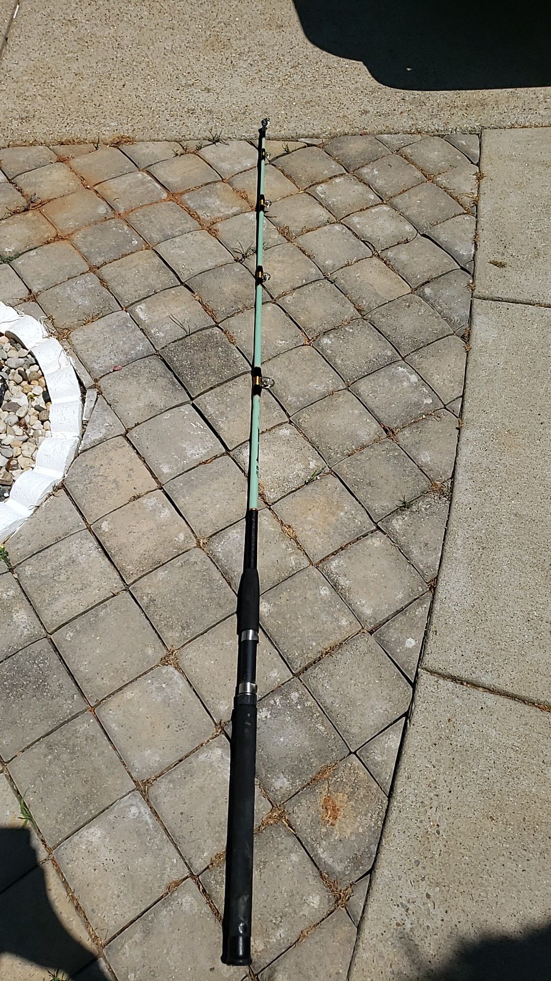Master blackfin fishing rod