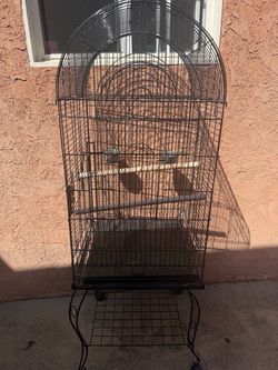Bird cage