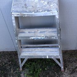 Werner Aluminum 2’ Ladder 