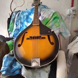 Appalachian Mandolin
