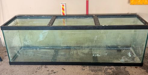 125 gallon tank