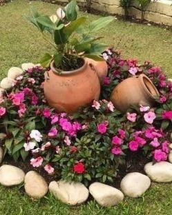 Curso De Jardinería