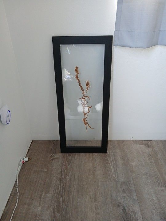 Picture Frame And Double Glass To Display Your Own Thing....