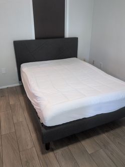 Queen Bed and Mattress