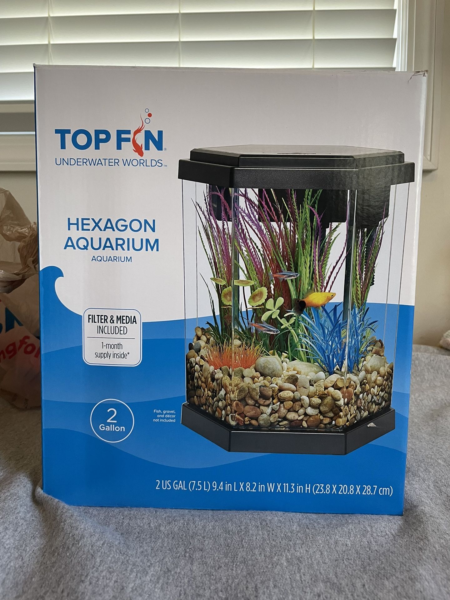 2 Gallon Beta Fist Tank Setup