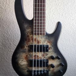 ESP LTD B-5 : 5 String electric bass guitar