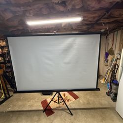 Projector Screen