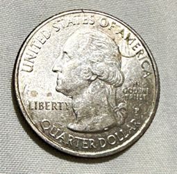 2020 -P salt river quarter