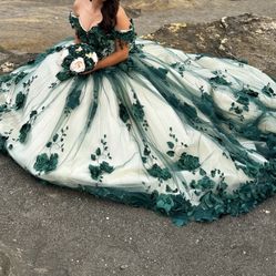 Quinceañera Dress For Sale