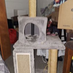 Cat Condo