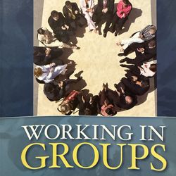 Working in Groups – 5th Edition (College Textbook) – $30