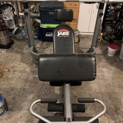 Weight Bench w/ Weights 