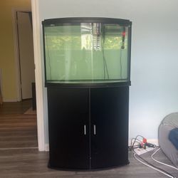 36 Gallon Bowfront Aquarium And Stand