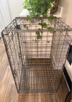 Puppy Potty Training