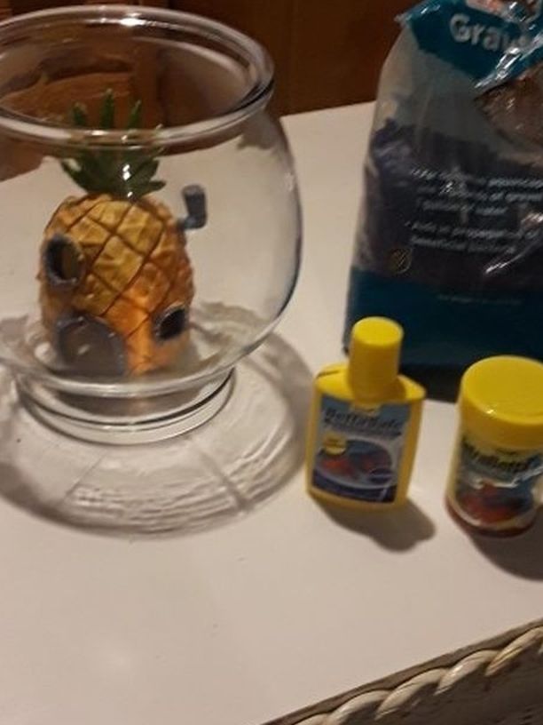 Fish Bowl Set